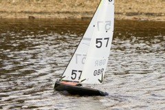 DSC03410 © Peter Taylor 2012