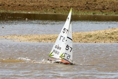DSC03639 © Peter Taylor 2012