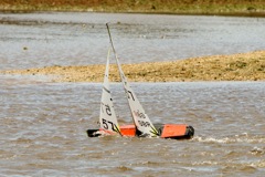 DSC03777 © Peter Taylor 2012