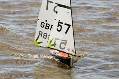 DSC03829 © Peter Taylor 2012