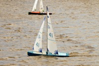 DSC03637 © Peter Taylor 2012