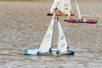 DSC03679 © Peter Taylor 2012
