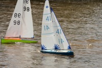DSC03460 © Peter Taylor 2012