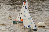 DSC03561 © Peter Taylor 2012