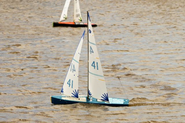 DSC03637 © Peter Taylor 2012