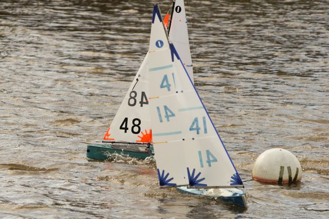 DSC03561 © Peter Taylor 2012