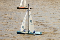 DSC03637 © Peter Taylor 2012