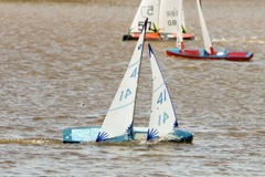 DSC03679 © Peter Taylor 2012