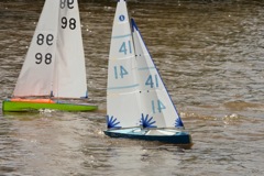 DSC03460 © Peter Taylor 2012