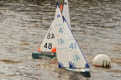 DSC03561 © Peter Taylor 2012