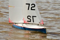 DSC03436 © Peter Taylor 2012