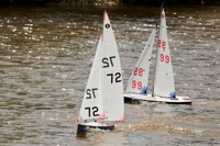 DSC03789 © Peter Taylor 2012