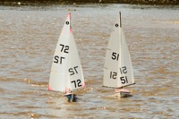 DSC03851 © Peter Taylor 2012