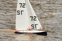 DSC03435 © Peter Taylor 2012