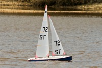 DSC03479 © Peter Taylor 2012