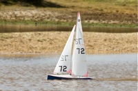 DSC03443 © Peter Taylor 2012