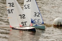 DSC03494 © Peter Taylor 2012
