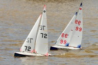 DSC03782 © Peter Taylor 2012