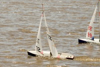DSC03787 © Peter Taylor 2012