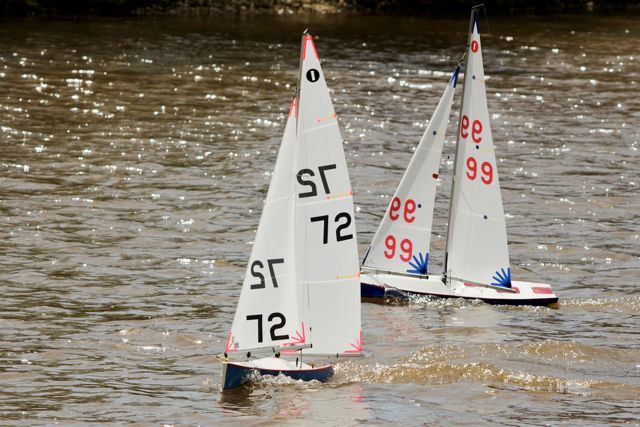 DSC03789 © Peter Taylor 2012