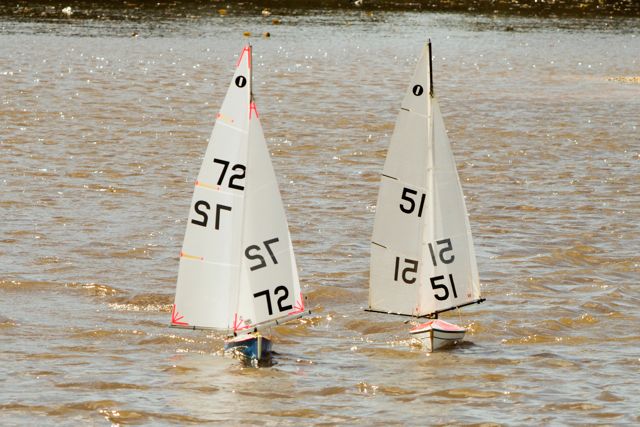 DSC03851 © Peter Taylor 2012
