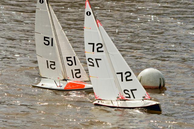 DSC03854 © Peter Taylor 2012