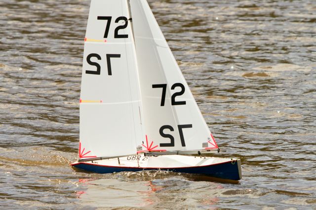 DSC03435 © Peter Taylor 2012