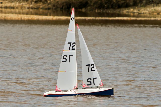 DSC03479 © Peter Taylor 2012