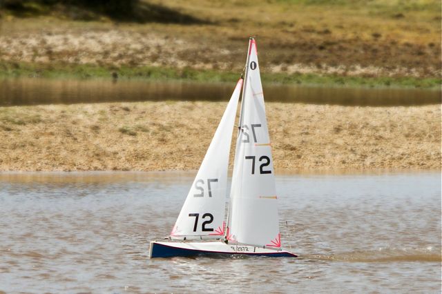 DSC03443 © Peter Taylor 2012