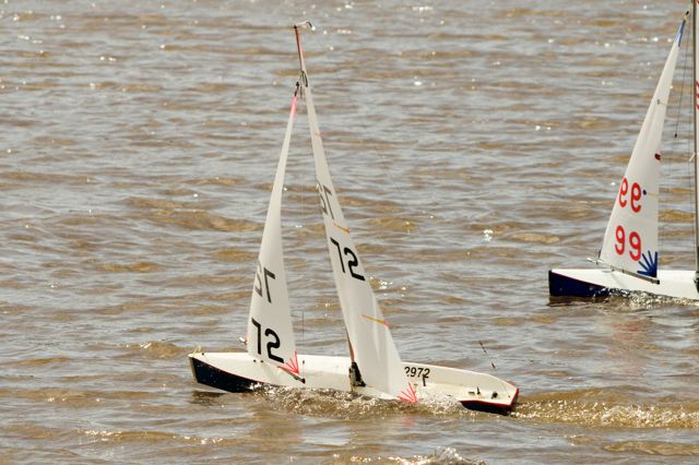 DSC03787 © Peter Taylor 2012