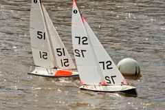 DSC03854 © Peter Taylor 2012