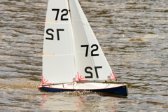 DSC03435 © Peter Taylor 2012