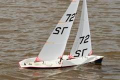 DSC03630 © Peter Taylor 2012