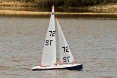 DSC03479 © Peter Taylor 2012