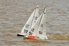 DSC03738 © Peter Taylor 2012