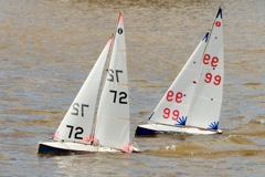 DSC03782 © Peter Taylor 2012