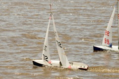 DSC03787 © Peter Taylor 2012