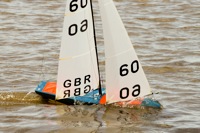 DSC03761 © Peter Taylor 2012