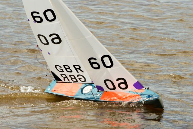 DSC03531 © Peter Taylor 2012