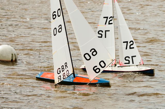 DSC03665 © Peter Taylor 2012