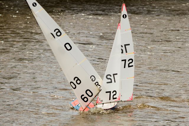 DSC03664 © Peter Taylor 2012