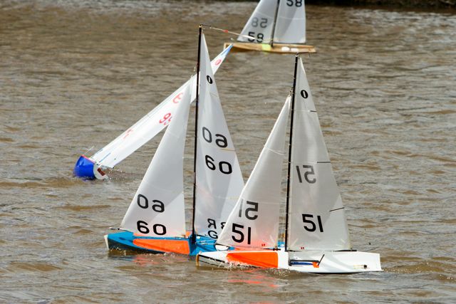DSC03804 © Peter Taylor 2012