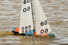 DSC03761 © Peter Taylor 2012