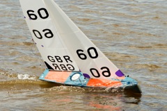 DSC03531 © Peter Taylor 2012