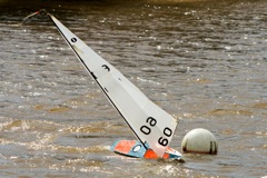 DSC03790 © Peter Taylor 2012