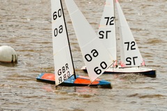 DSC03665 © Peter Taylor 2012