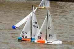 DSC03804 © Peter Taylor 2012