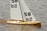 DSC03628 © Peter Taylor 2012