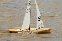DSC03827 © Peter Taylor 2012