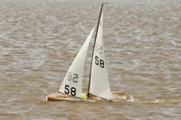 DSC03700 © Peter Taylor 2012